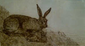 Limited Edition Etching Hare and Leverets on Hillside