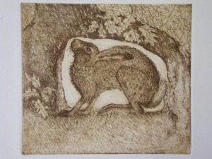 Sheltering Hare Etching