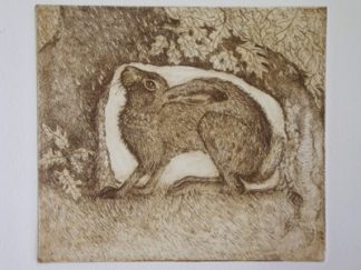 Sheltering Hare Etching