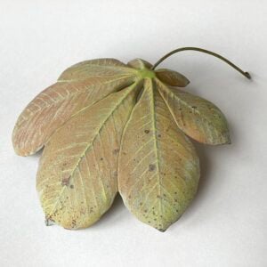 Ceramic Horse Chestnut Leaf