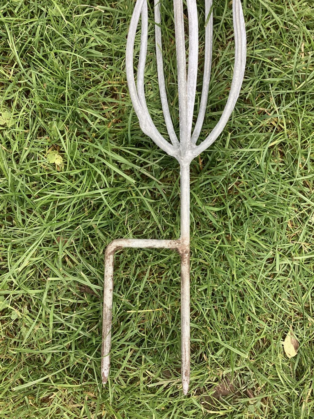 Small Fern Frond Sculpture