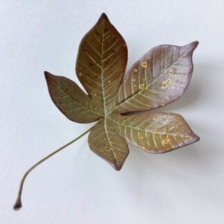 Cupped Horse Chestnut Leaf