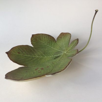 Ceramic Horse Chestnut Leaf