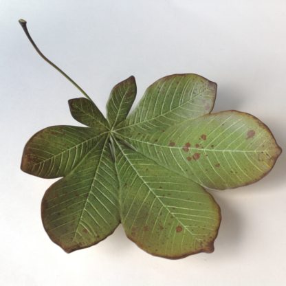 Ceramic Horse Chestnut Leaf