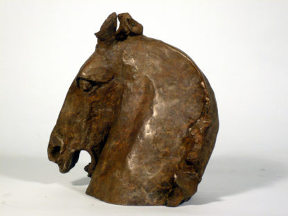 Bronze Stallion