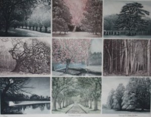 'All the Trees of Shobdon Court'