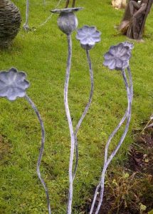 Poppy Seed Head