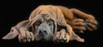 Ceramic bloodhound sculpture