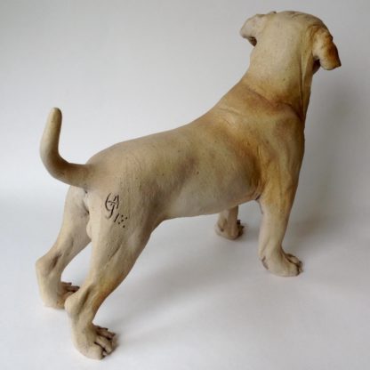 Golden Labrador Dog 