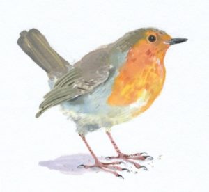 Original Watercolour Robin