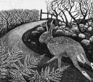 'Hare on the Run'