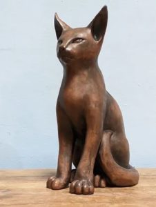 ‘Abyssinian Cat - Inca’