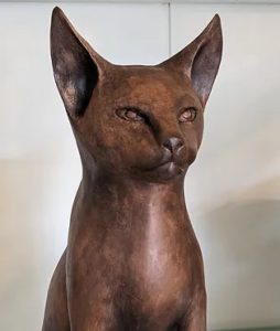 ‘Abyssinian Cat - Inca’