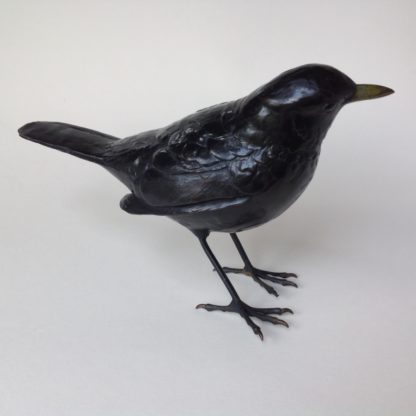 'Blackbird' 