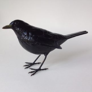 'Blackbird' 