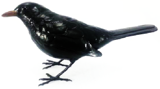 Bronze Blackbird Sculpture