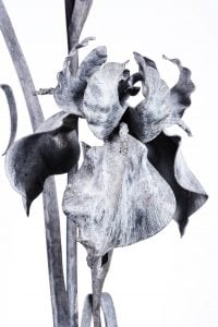 Iris in Forged Iron