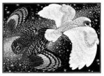 Wood Engraving Nocturnal Encounters