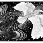 Wood Engraving Nocturnal Encounters