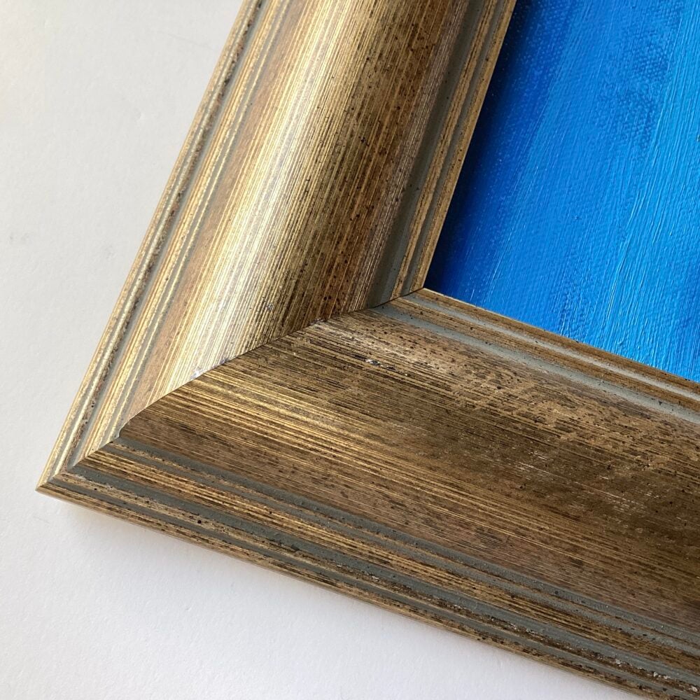 'Mute Swan Preening lI'