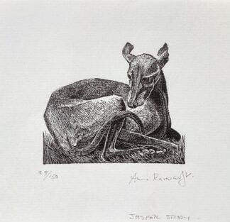 ‘Jasper Study’ Wood Engraving