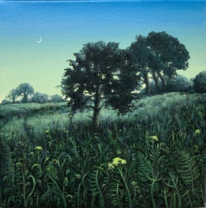 'A New Moon over The Doward'