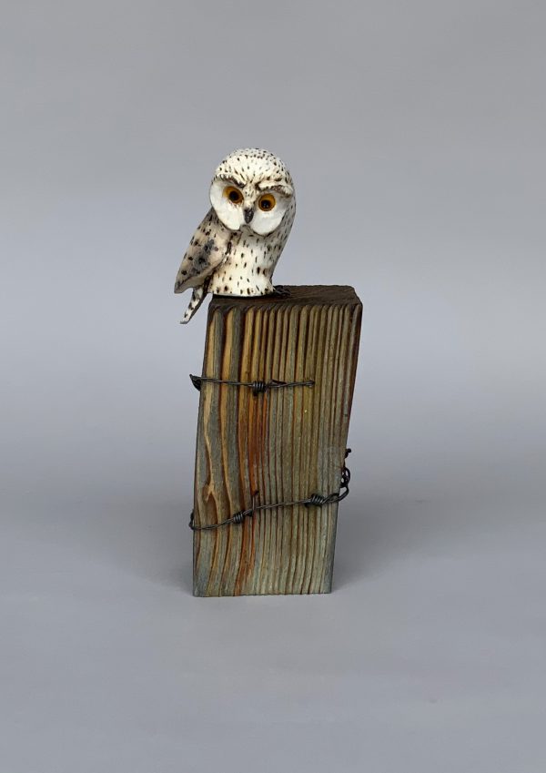 'Little Owl'  Wood Sculpture 