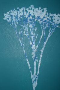 Coloured Monoprint - Dropwort in Turquoise and Blue