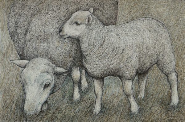 'Ewe and Lamb'