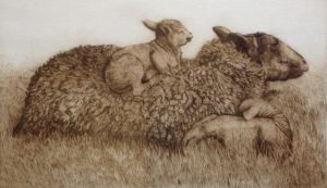 Limited Edition Etching Sheep with Lambs