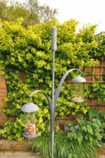 Hot Forged and Galvanised Double Bullrush Bird Feeder