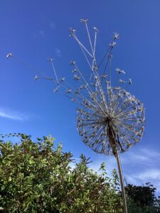 ‘Time Flies ll’ in Stainless Steel