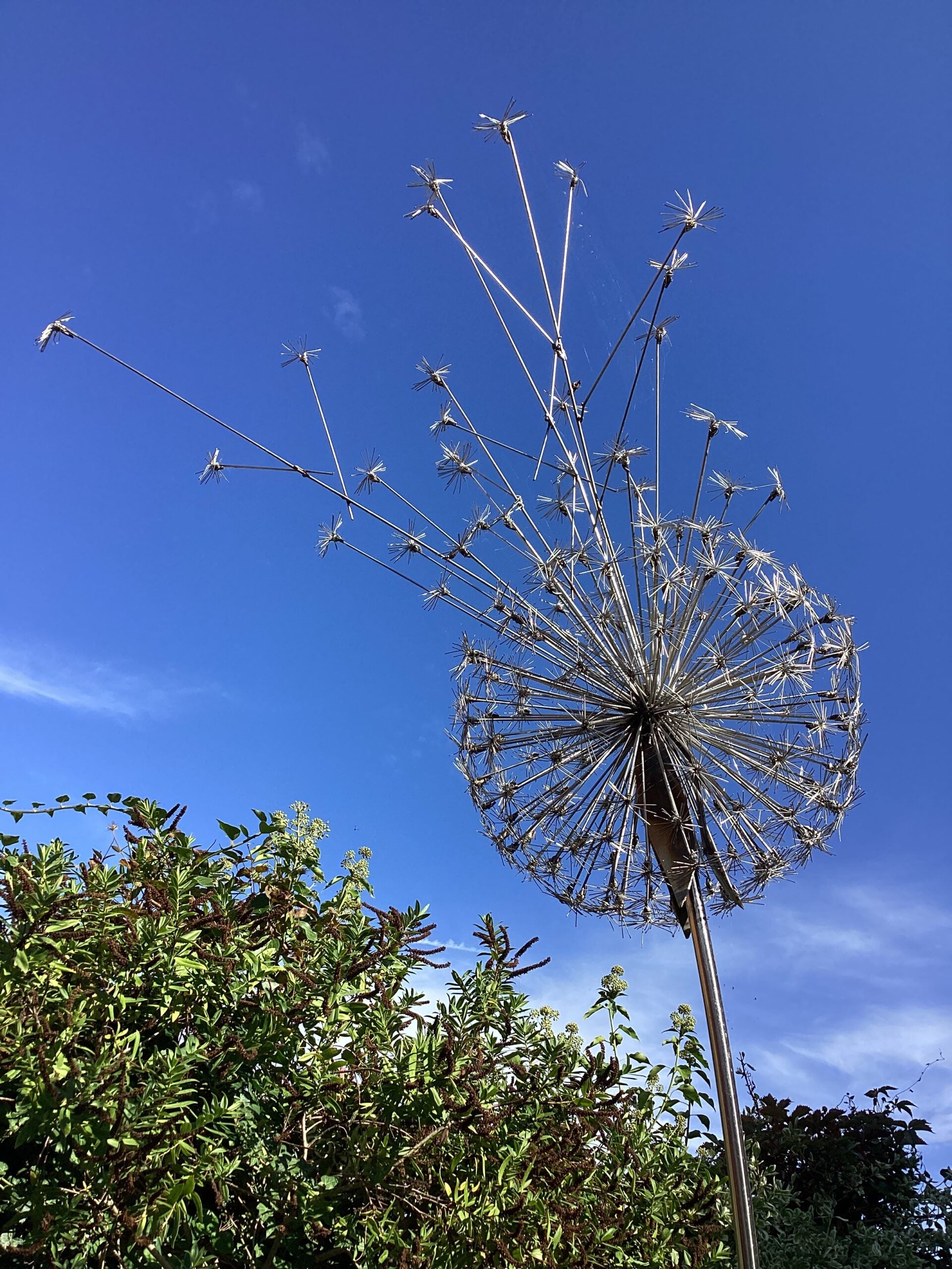 ‘Time Flies ll’ in Stainless Steel