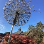 ‘Time Flies ll’ in Stainless Steel
