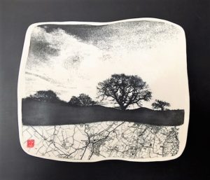 Ceramic Wall Mounted Printed Porcelain ‘Mapped Twilight’