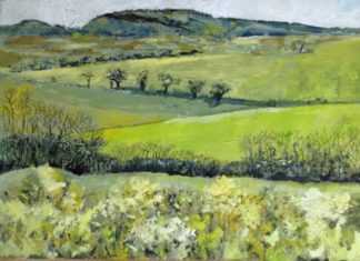 Print 'Clent Hills: Overcast but Spring Still Popping'