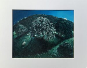 'A Rising Moon in Herefordshire'