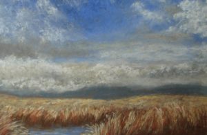 ‘Breezy on the Moor’