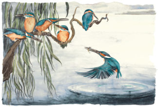 The Lost Words Limited Edition Print Kingfishers
