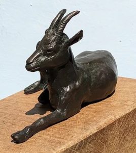 ‘Resting Goat’