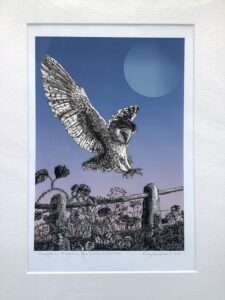 'Caught in Flight...'