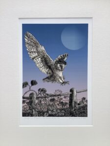 'Caught in Flight...'