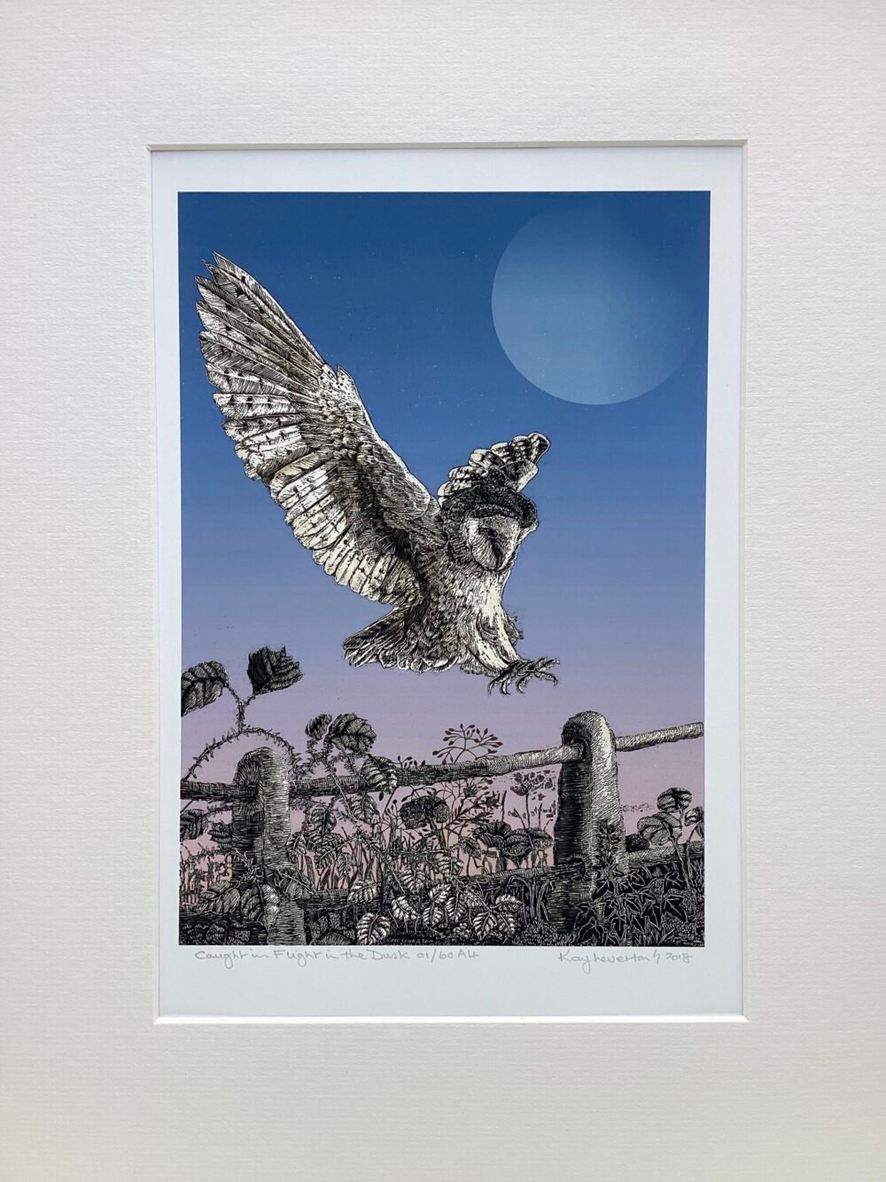 'Caught in Flight...'