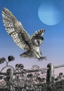 'Caught in Flight...'