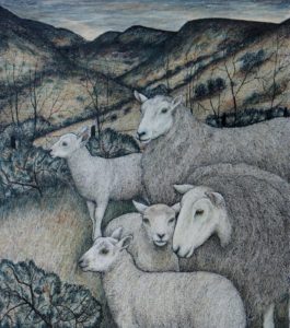 Original pen, ink and coloured pencil  Ewes and Lambs Uplands