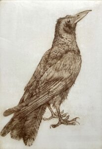 'Rook' Etching