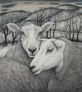 Original pen, ink and coloured pencil  ‘Midwinter Ewes’