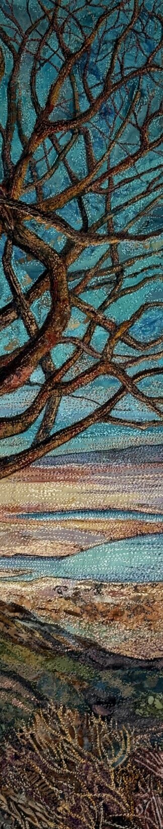 ‘Lit by the Setting Sun’