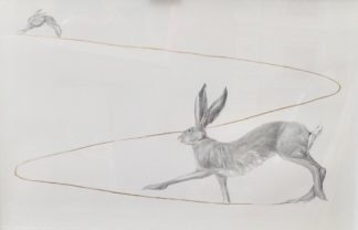 ‘Hares: Two’ Original Pencil Drawing  