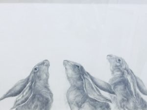 Original Pencil Drawing  ‘Hares: Three, Moongazers’